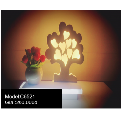 Model:C6521